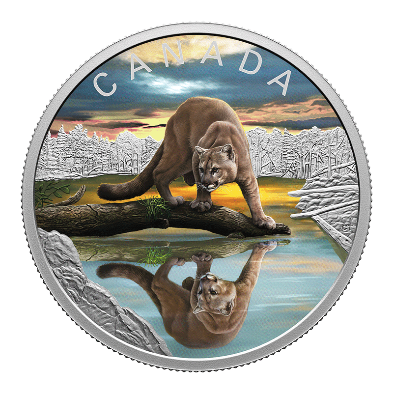 Image for 2024 $20 Silver - Wildlife Reflections: Cougar from TD Precious Metals